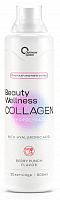 Collagen Beauty Wellness 500мл Collagen Beauty Wellness 500мл